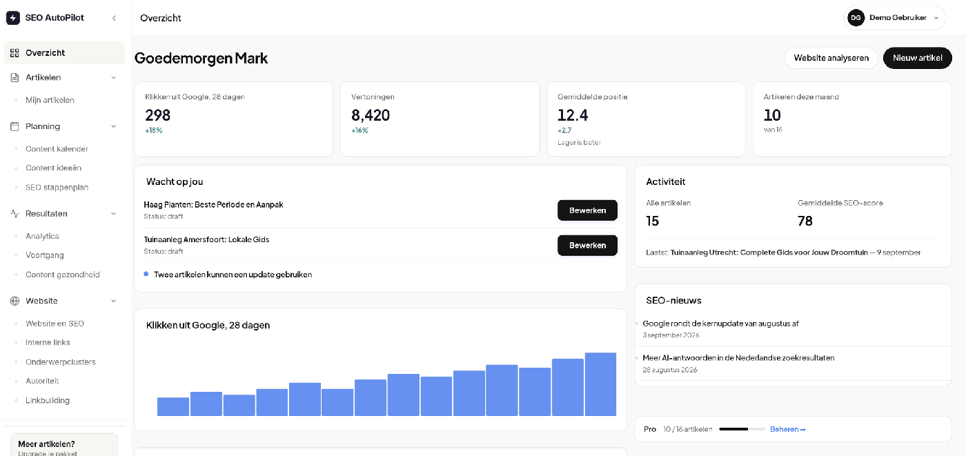 Het dashboard met klikken, vertoningen en gemiddelde positie